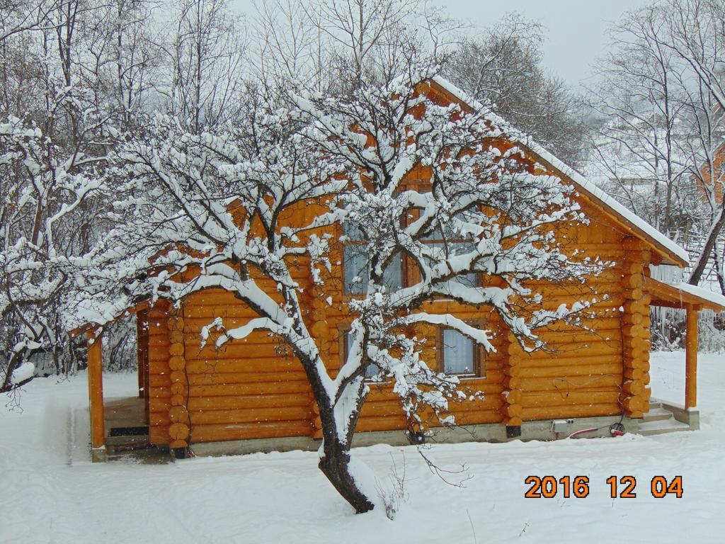 Casutele Din Moisei Exterior foto