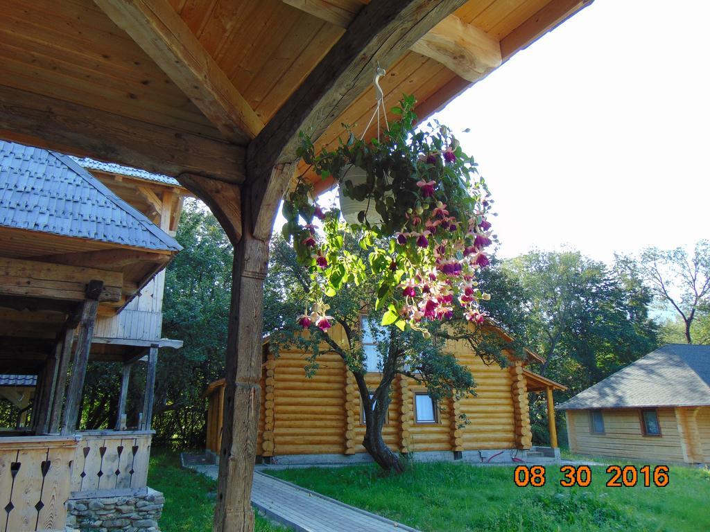 Casutele Din Moisei Exterior foto