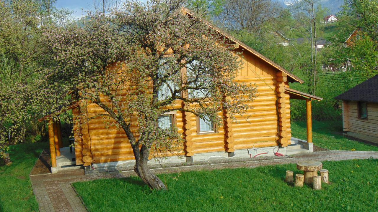 Casutele Din Moisei Exterior foto